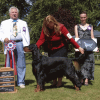 Best In Specialty Show - Ch Cascades Sunrunner Here Comes The Son