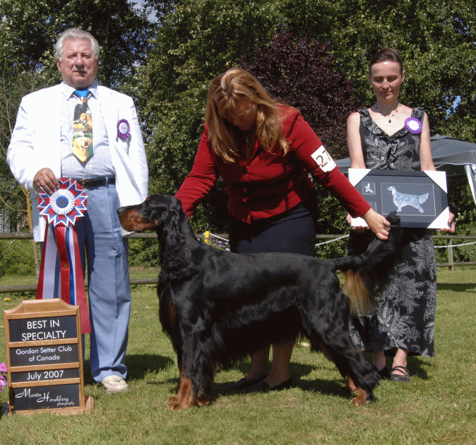 Best In Specialty Show - Ch Cascades Sunrunner Here Comes The Son